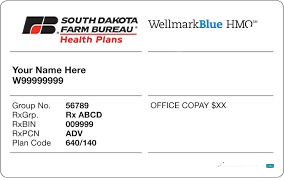 Download South Dakota health insurance card Photoshop template